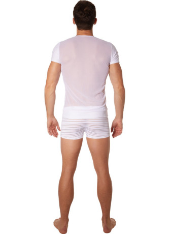 T-shirt blanc rayé opaque et transparent - LM906-81WHT